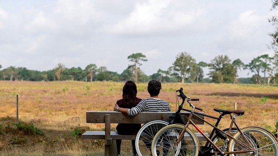 Fietsvakantie in Drenthe