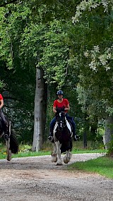 Barchemse Paarden4daagse 2019 (geüpload door Maarten)