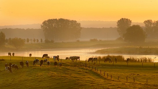 Naoberschap op het platteland