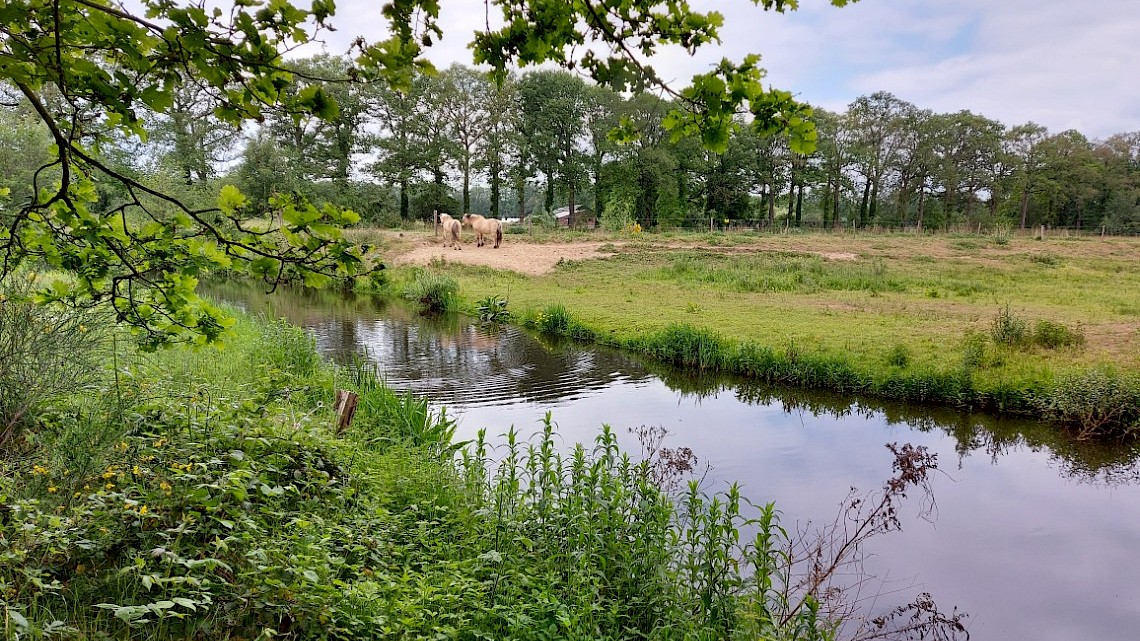 De Slinge bij de Lebbenbrugge